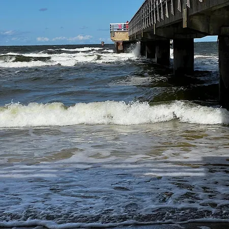 Am Waldesrand * Heringsdorf (Usedom)